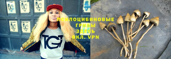 хмурый Балахна