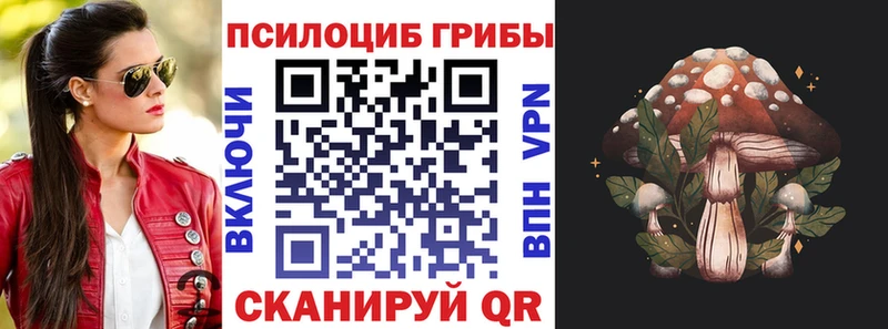 продажа наркотиков  Верхнеуральск  блэк спрут зеркало  Псилоцибиновые грибы мухоморы 