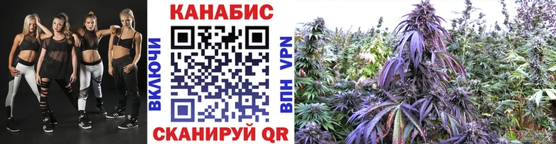 KRAKEN зеркало  купить наркотик  Верхнеуральск  МАРИХУАНА Amnesia 